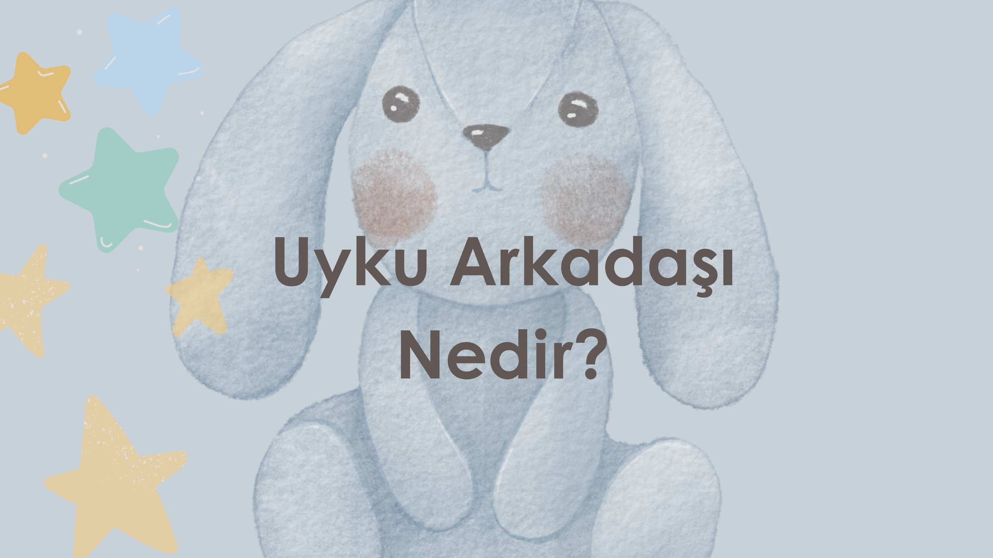 Uyku Arkadaşı Nedir?