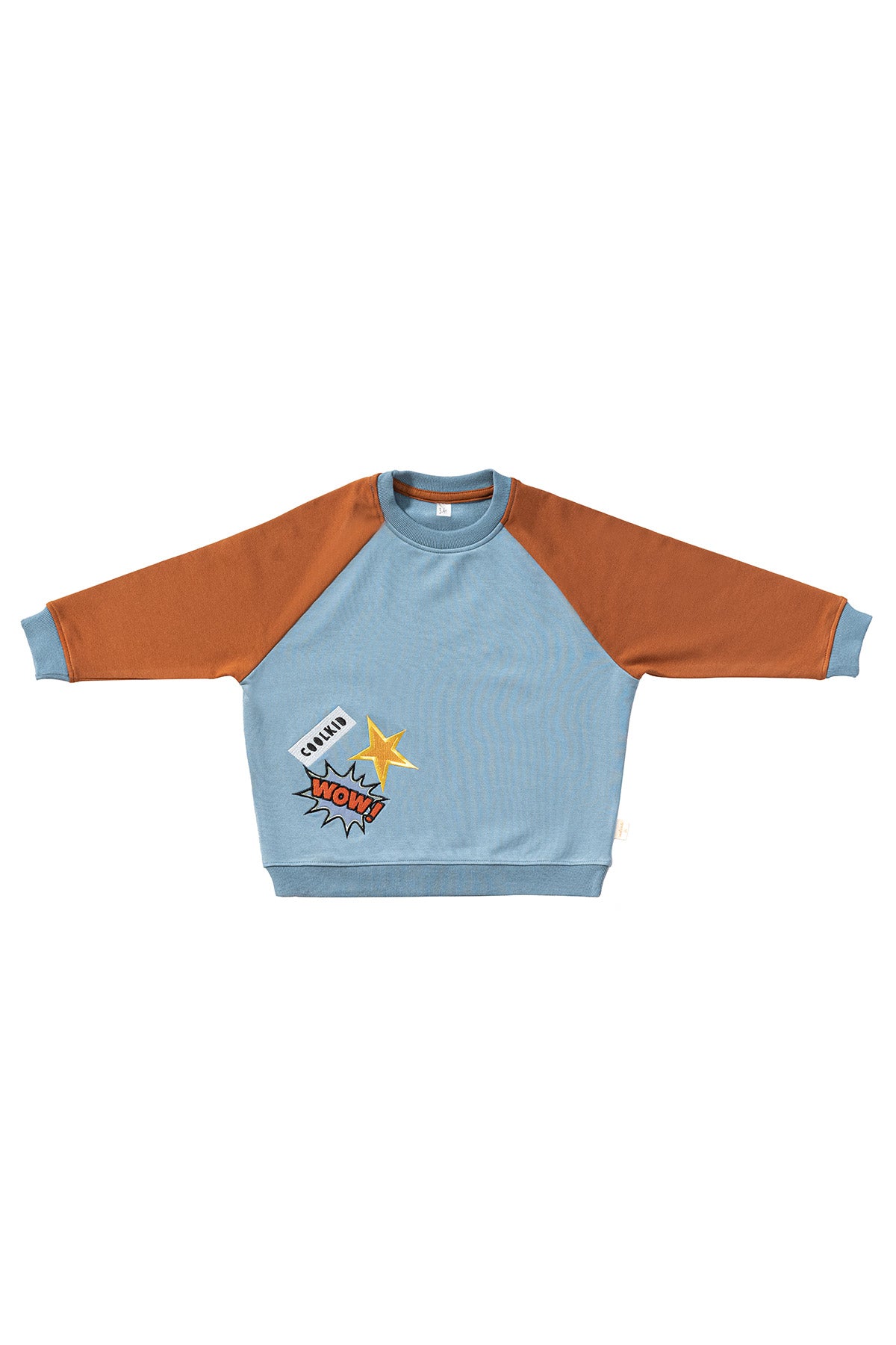 Colorblock Nakış Detaylı Sweatshirt