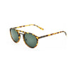 Looklight Scott Amber Green Adult Sunglasses