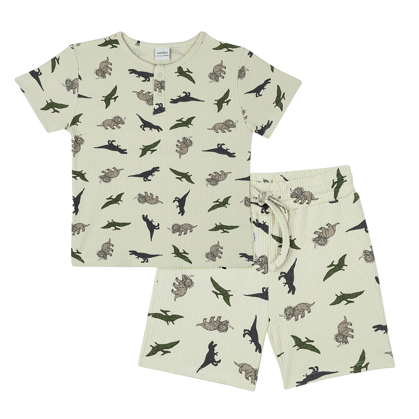 Dinosaur Adventure Shorts Pajama Set