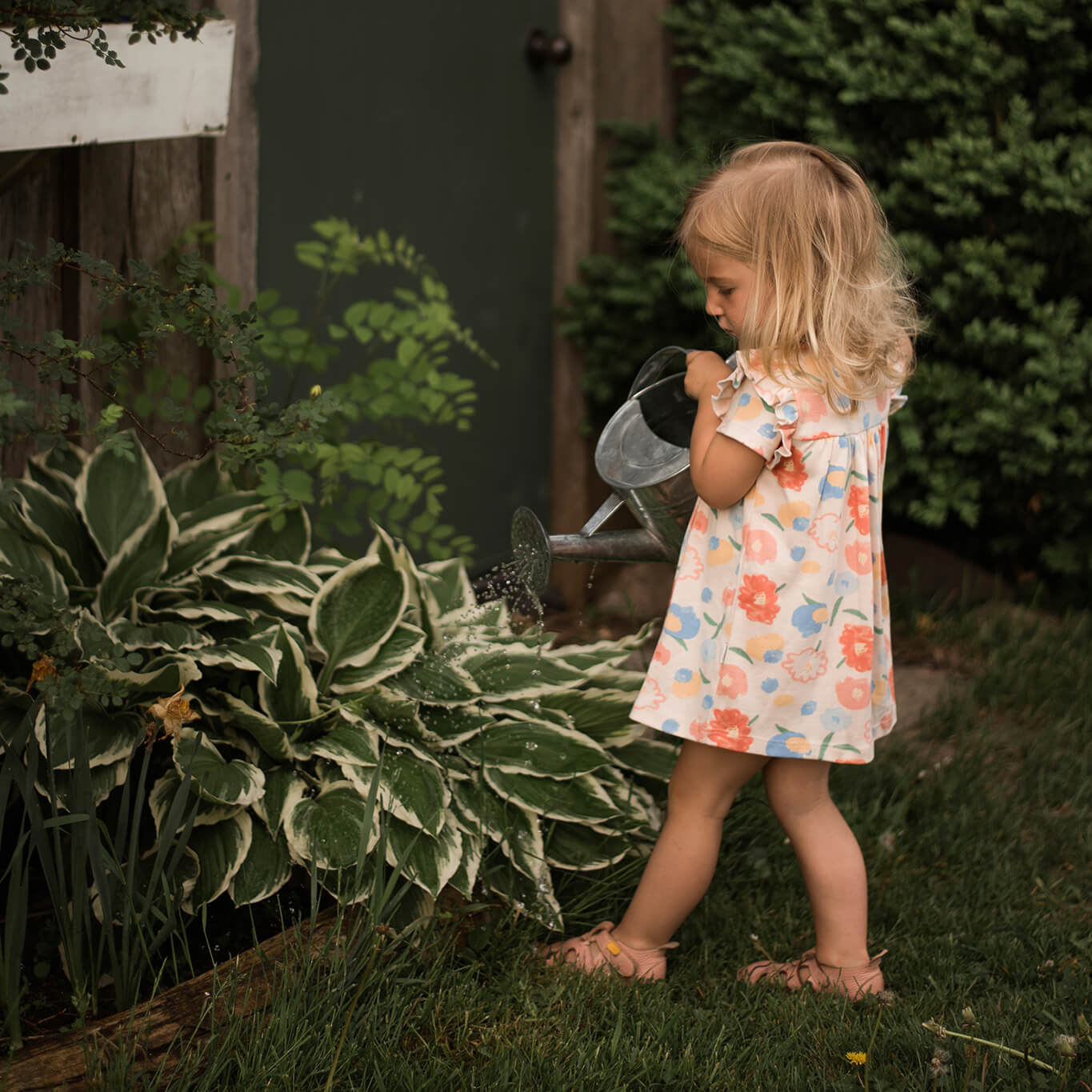 Flower Bouquet Ruffle Dress 0-3 Months