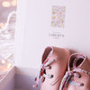 Mini- und Kinder-Stiefeletten aus echtem Leder, Liberty London Mini-Loafer aus echtem Leder mit Stoffschnürsenkeln – Puder
