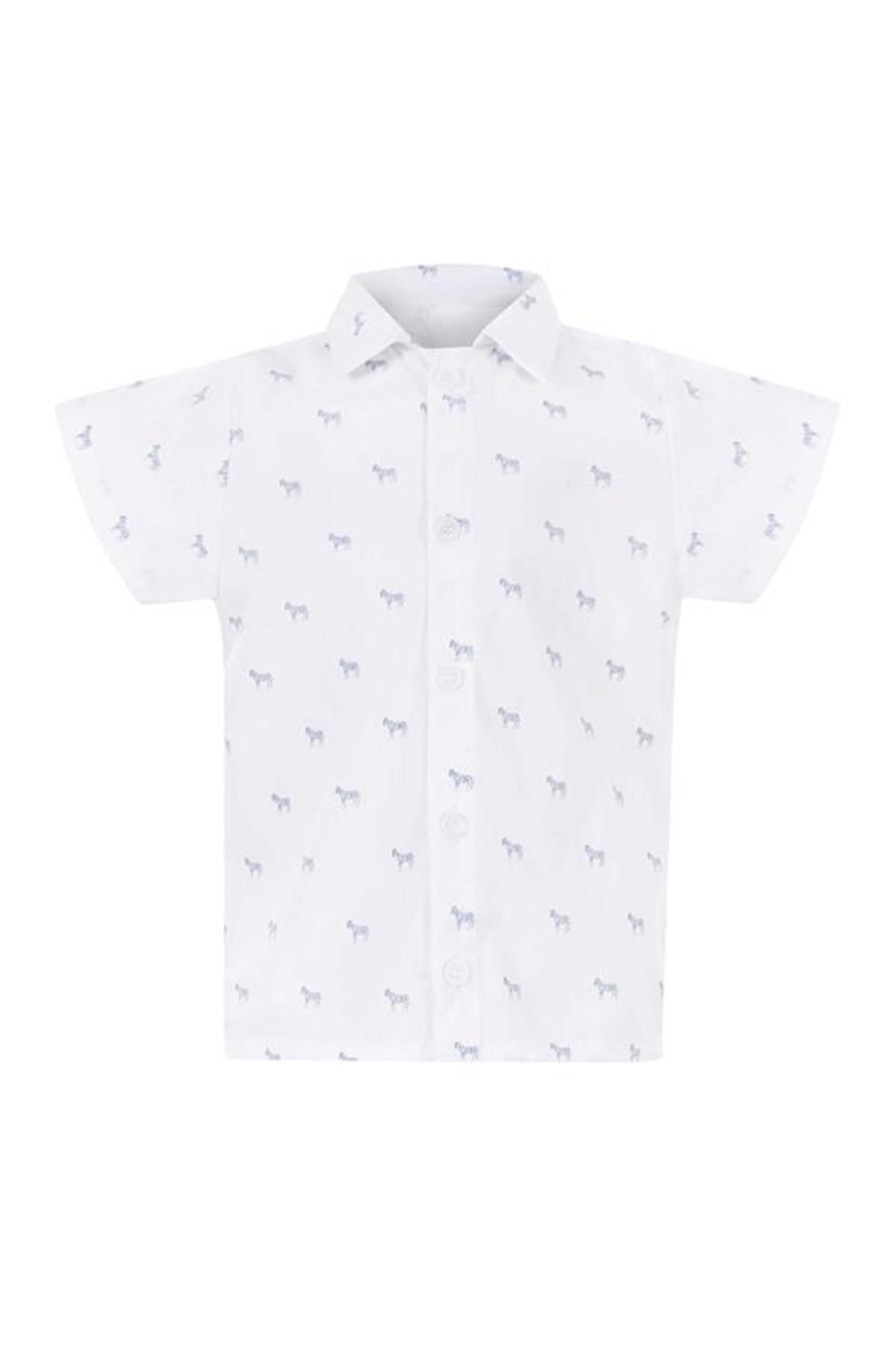 Bleu Lapin Zebra Boy Shirt