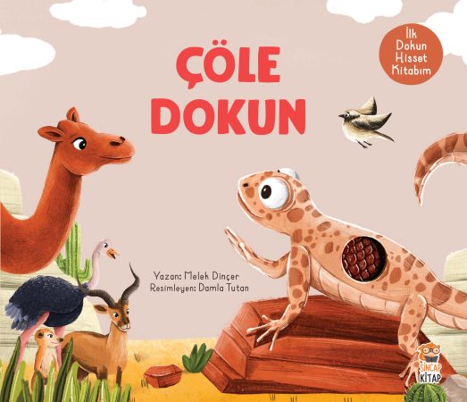 SİNCAP KİTAP İLK DOKUN HİSSET KİTABIM ÇÖLE DOKUN