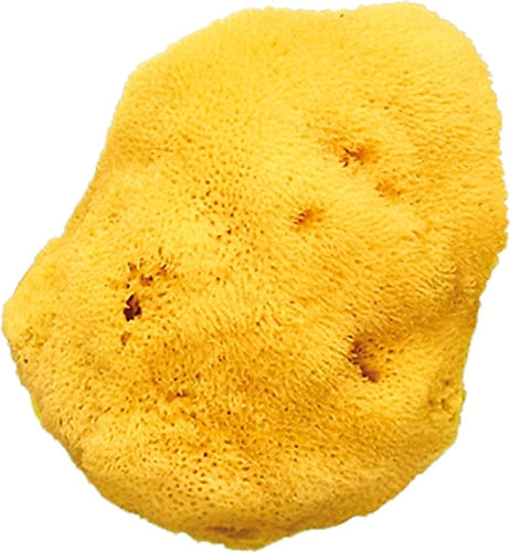 Okbaby Natural Bath Sponge Fine Texture No: 14