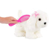 Pucci Pups Maltese ve Tarak